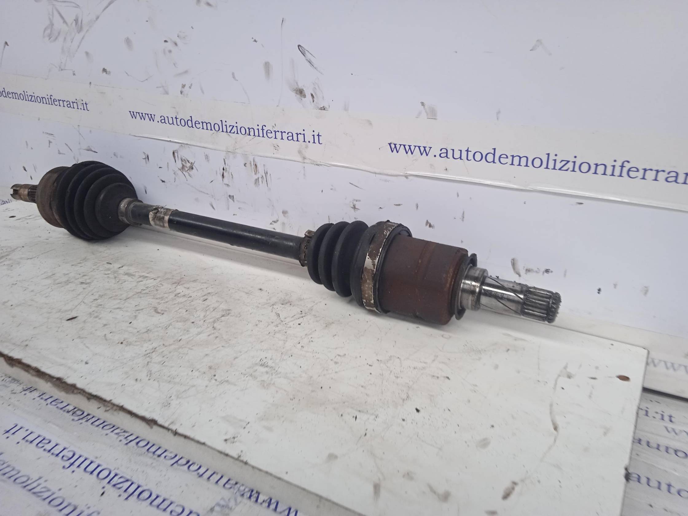 Semialbero ant. compl. sx.